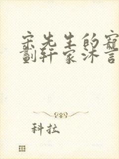 宋先生的宠妻计划轩家沐言