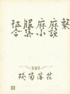 征服麻麻系列大合集小说