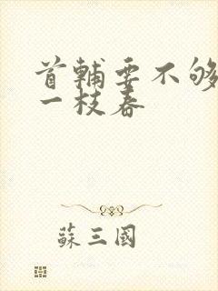 首辅要不够po一枝春