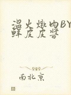 温火炖肉BY海鲜皮皮酱