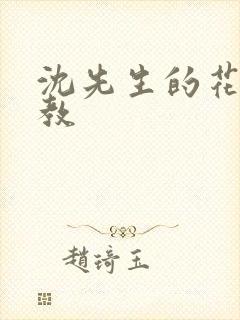 沈先生的花式调教