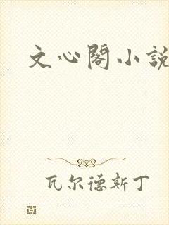 文心阁小说