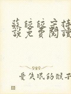 苏皎皎宋持的小说免费阅读