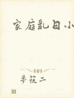 家庭乱日小说