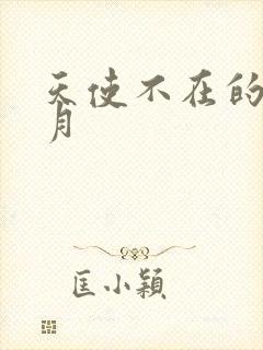 天使不在的12月