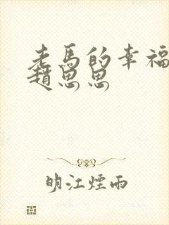 老马的幸福生活赵思思