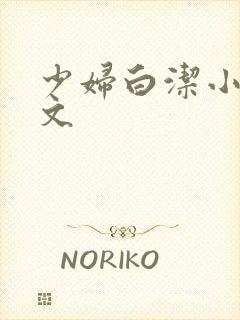 少妇白洁小说全文