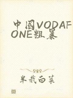 中国VODAFONE粗暴