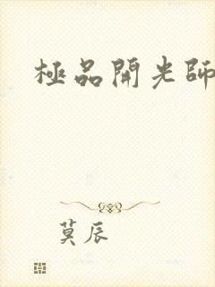 极品开光师