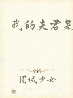 我的夫君是冥王