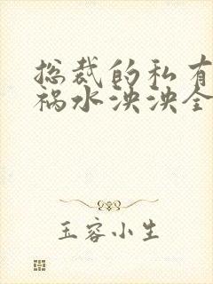 总裁的私有宝贝祸水泱泱全文阅读