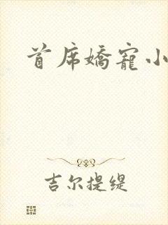 首席娇宠小情人