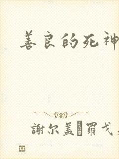 善良的死神小说