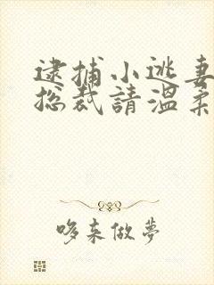 逮捕小逃妻狼性总裁请温柔封面