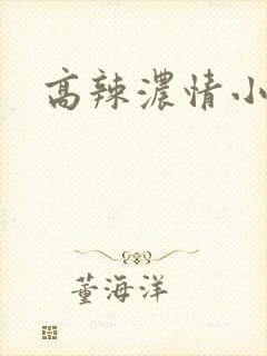 高辣浓情小说