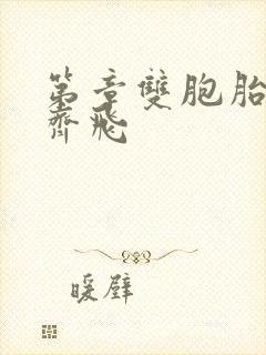 第章双胞胎姐妹齐飞