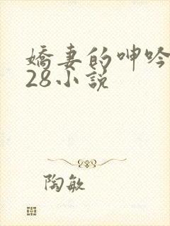 娇妻的呻吟1—28小说
