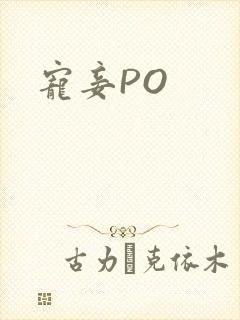 宠妾PO
