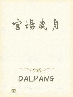 官场岁月
