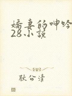 娇妻的呻吟1—28小说