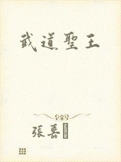 武道圣王