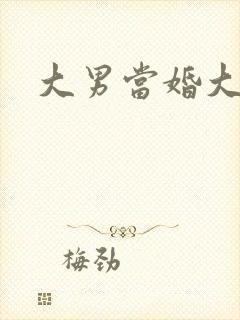 大男当婚大结局