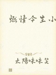 燃情今生小说