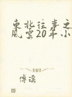 东北往事之黑道风云20年小说