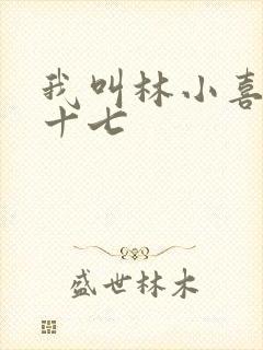 我叫林小喜今年十七