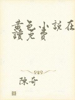 黄色小说在线阅读免费