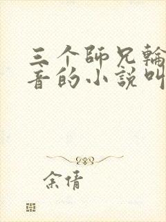 三个师兄轮流上音的小说叫什么