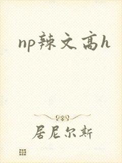 np辣文高h