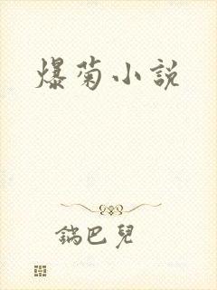爆菊小说