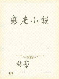 恋老小说