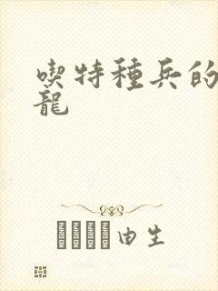 吃特种兵的大黑龙