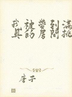 我被带到满是玩具的房间挑调作文