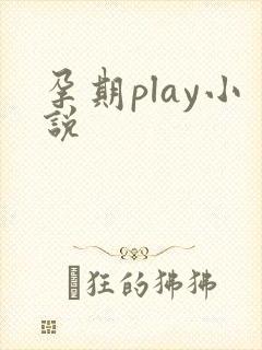 孕期play小说
