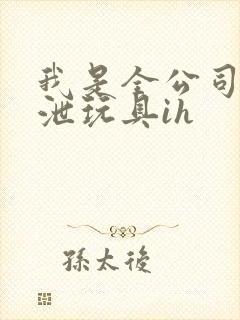 我是全公司的发泄玩具ih