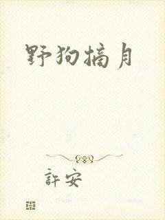 野狗摘月