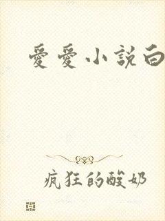 爱爱小说白洁