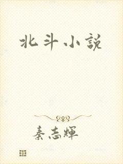 北斗小说