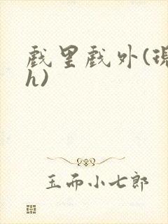 戏里戏外(现场h)