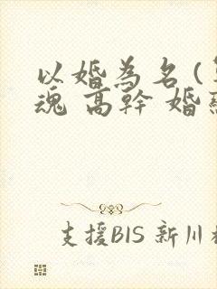 以婚为名 (军魂 高干 婚恋)
