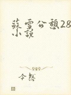 苏雪公憩28篇小说
