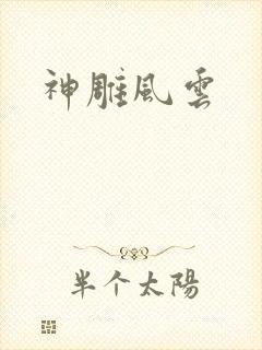 神雕风云