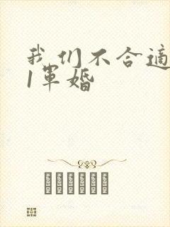 我们不合适1v1军婚