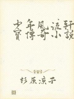 少年风流轩辕大宝传奇小说