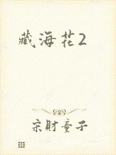 藏海花2