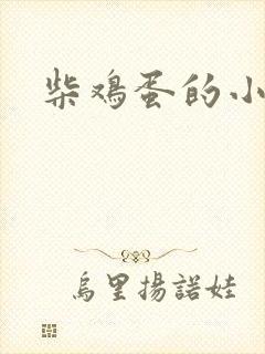 柴鸡蛋的小说