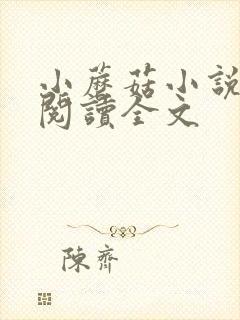 小蘑菇小说免费阅读全文